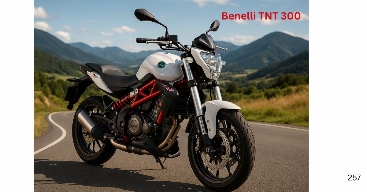 Benelli TNT 300